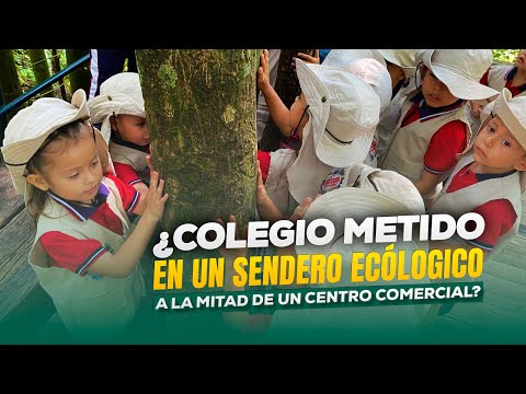 Innovación y shopping en Centro Comercial Primavera