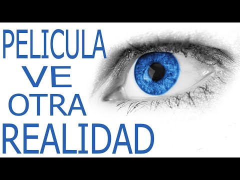 Identidad: La Conexión entre Películas y Tecnología Moderna