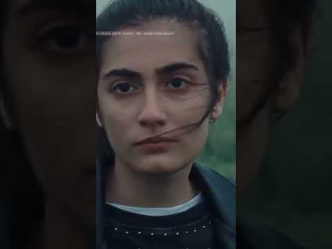 Mubi Películas: La Revolución del Cine a un Clic de Distancia