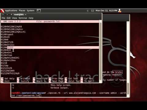 Aumenta la seguridad de tu web con WPScan hoy mismo