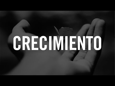Flujo blanco líquido: innovación en marketing digital eficiente