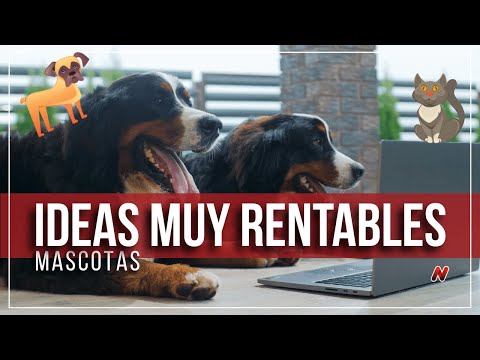 Mascotas Película: Innovación en Marketing y Tecnología