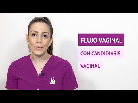 Flujo como leche cortada: Transformando tu estrategia digital