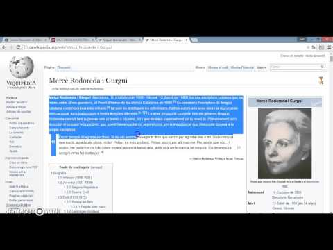 Potencia tu comunicación con el traductor Salt Valenciano