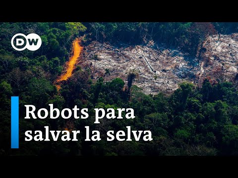 Chikungunya: Innovaciones tecnológicas para su prevención y control