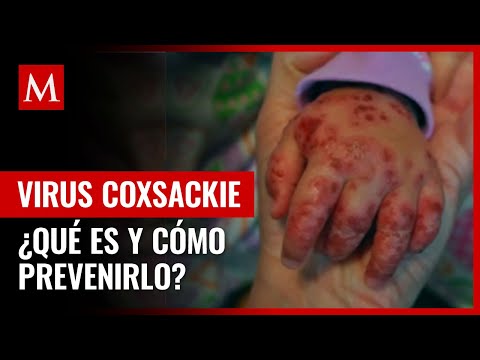Coaxial Virus: Transformando la Seguridad Digital Moderna