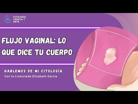 Flujo diario: lo que tu cuerpo quiere que sepas
