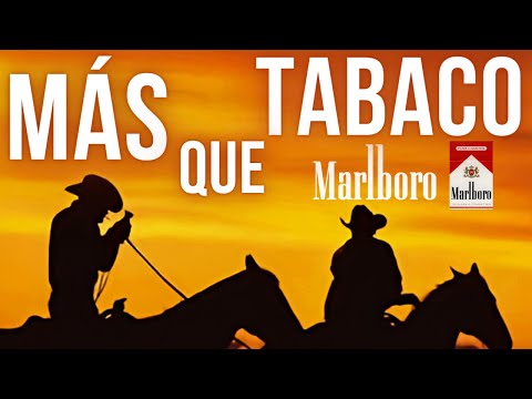 Marketing y publicidad: Innovaciones que transforman el juego
