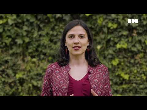 Traducción 4.0: Impulsa tu negocio en el mundo digital