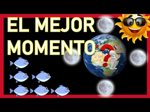 Calendario de pesca inteligente para maximizar tus jornadas