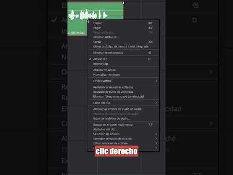 Audio mono: la clave para una experiencia sonora única