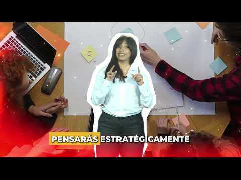 Locanto SAC: Innovación y marketing en el mundo digital