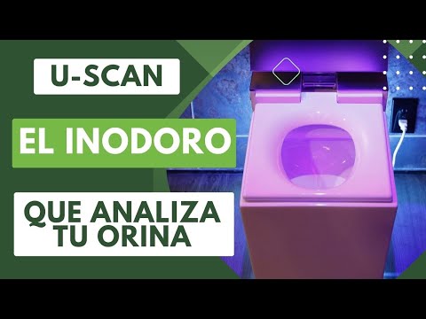 Radio 5 Online: Innovación y Marketing en Tiempo Real