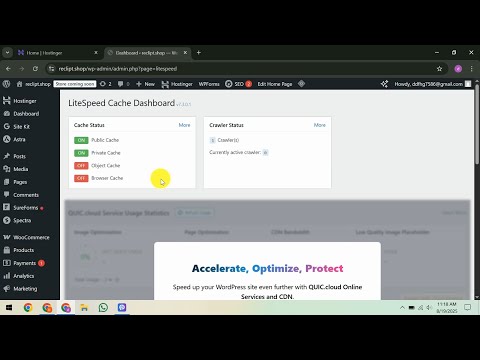 Aumenta tu éxito online con hosting WP optimizado