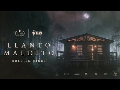 Llanto maldito: emociones que generan oportunidades digitales