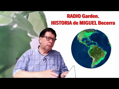 Tu acceso gratis a Radio Garden: música y cultura global al instante