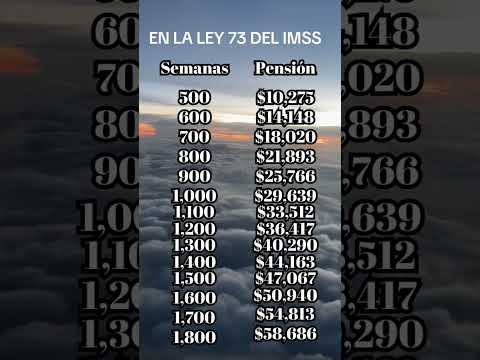 Maximiza tus beneficios con el calendario IMSS 2023