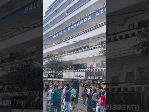 Shorts Quiksilver: Estilo y comodidad para cualquier aventura